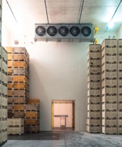 CA Stores