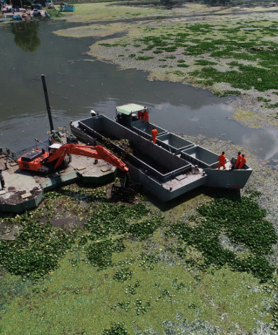Lake Cleaning